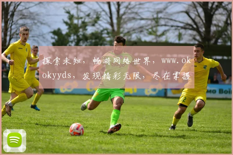 探索未知，畅游网络世界，www.okokyyds，发现精彩无限，尽在掌握