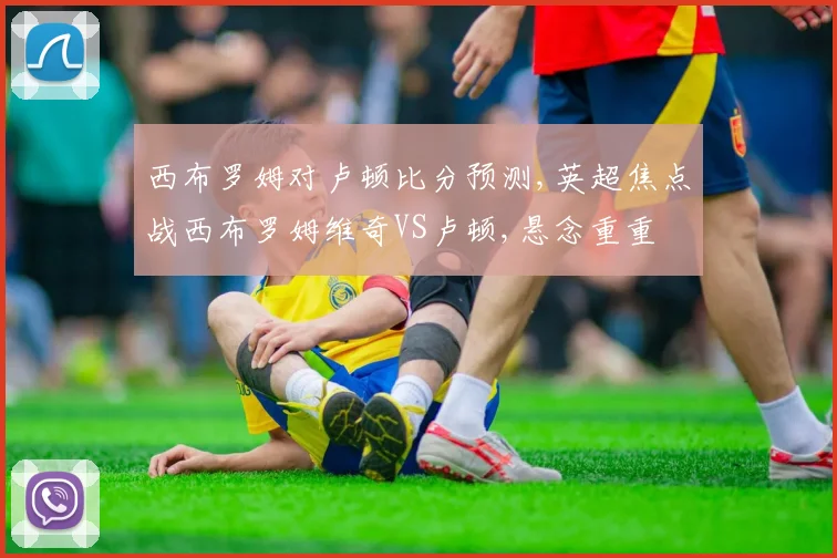 西布罗姆对卢顿比分预测,英超焦点战西布罗姆维奇VS卢顿,悬念重重